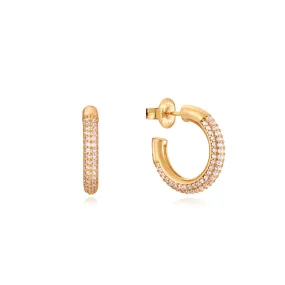 Viceroy Elegant Sterling Silver Gold-Plated Hoop Earrings with White Zirconia 13132E100-30